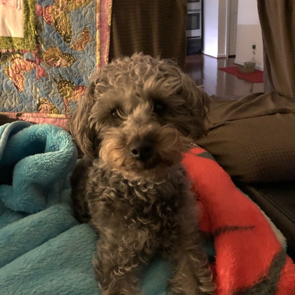 ⚓️Meet your posher, Amy ⚓️ - Picture 8 of 14